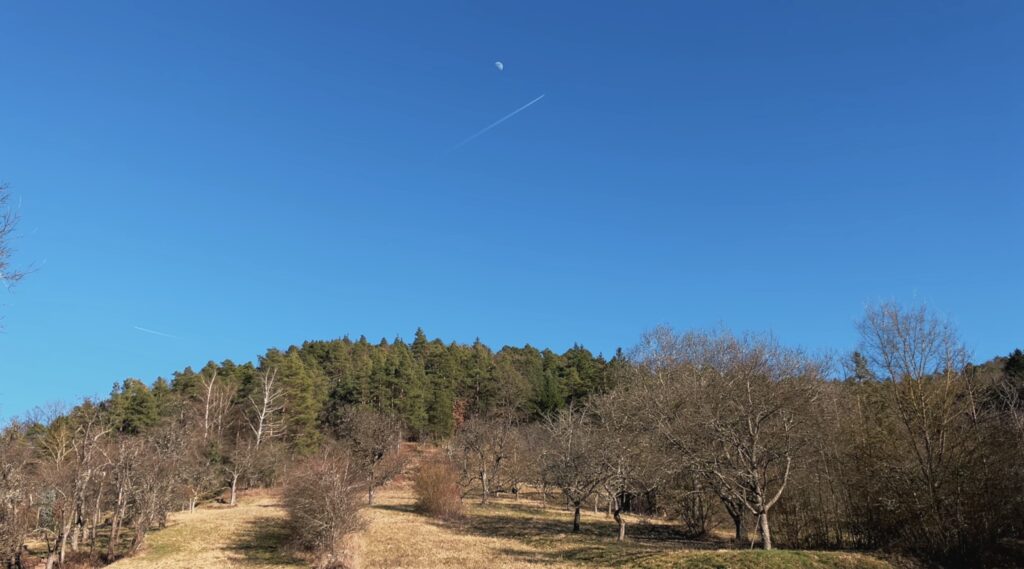 A jet contrail under a half-moon visible in the blue sky of day, with a forested hill below.